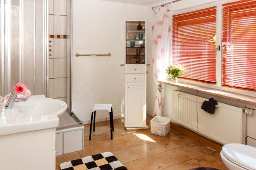a bathroom with a sink and a toilet at Ferienwohnung am Sachsenring in Bernsdorf