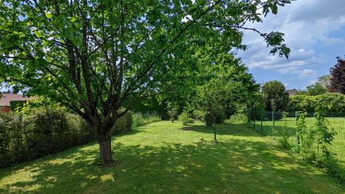 a tree in the middle of a green yard at Le Clos des écureuils - chambres d'hôtes in Sainte-Marie-la-Blanche