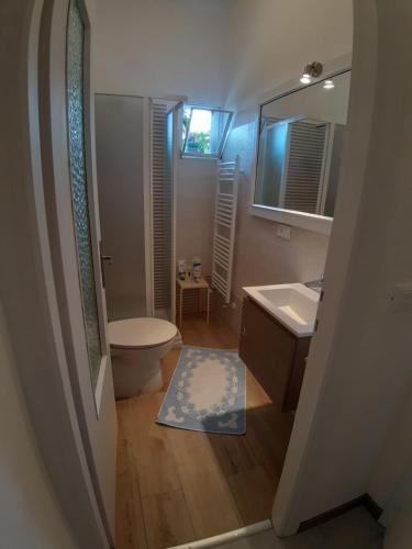 La salle de bains est pourvue de toilettes, d'un lavabo et d'un miroir. dans l'établissement Casa fontana rossa, à Arizzano
