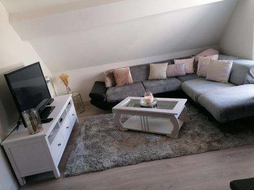 uma sala de estar com um sofá e uma televisão em Les pétunias em Mouroux