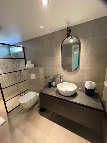 a bathroom with a sink and a toilet and a mirror at Bed & Breakfast Zeeuws Gelukkig in Serooskerke