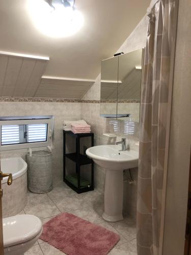 een badkamer met een wastafel, een toilet en een spiegel bij Apartment Bojana in Novi Vinodolski