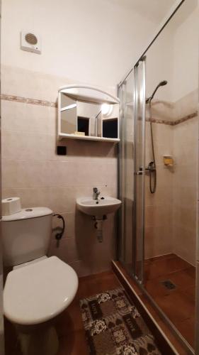 Un baño con inodoro, lavabo y ducha. en Penzion U Statku, en Lodhéřov