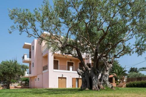 Κήπος έξω από το Villa Anthi Kefalas