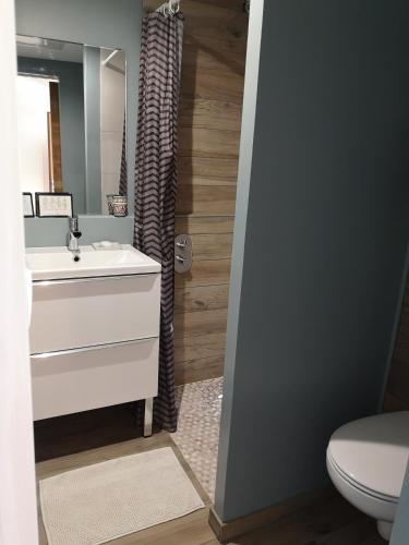 une salle de bain avec un lavabo, des toilettes et un miroir dans l'établissement Maison Entière Hameau Monastir del Camp, à Passa