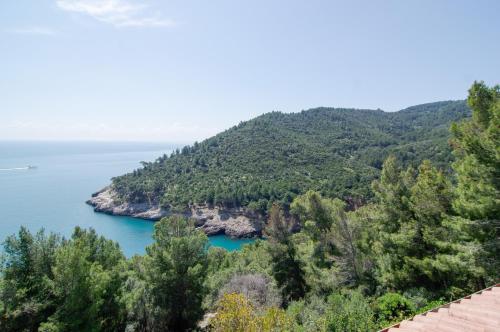 Φυσικό τοπίο κοντά σε αυτή η βίλα