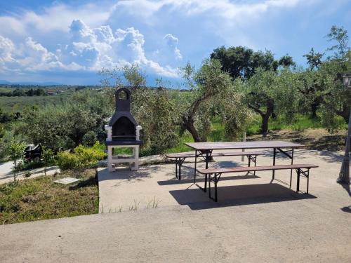 a picnic table and a fireplace in a park at Domus Quarticelli Costa dei Trabocchi in Torino di Sangro