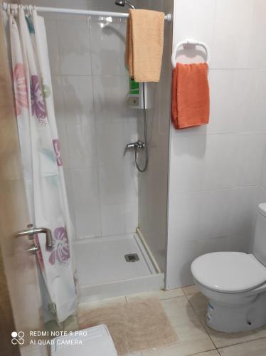 a bathroom with a shower and a toilet at Alojamientos Playa Centro Corralejo 12 in Corralejo