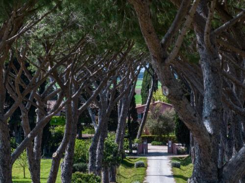 a path through a tree lined driveway at Le Versegge Resort in Braccagni