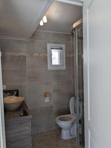 une salle de bain avec toilettes et lavabo dans l'établissement La Belhomière - Sérénité, à Vins-sur-Caramy