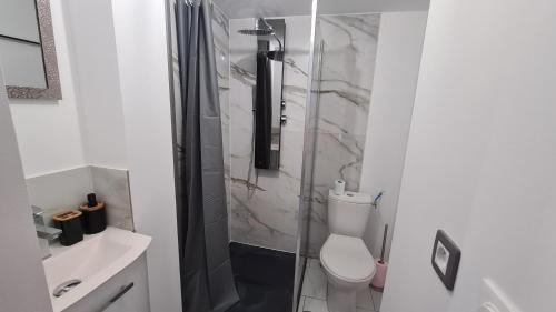 ein Bad mit einer Dusche, einem WC und einem Waschbecken in der Unterkunft Petite maison cosy wifi avec terrasse in Montigny-le-Gannelon