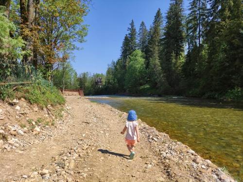 a child walking down a dirt road next to a river at Owca za płotem in Witów