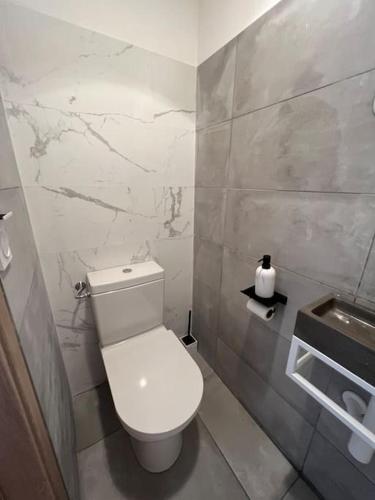 une salle de bain avec toilettes et un mur en marbre dans l'établissement Belle villa neuve avec jardin et parking, à Calenzana