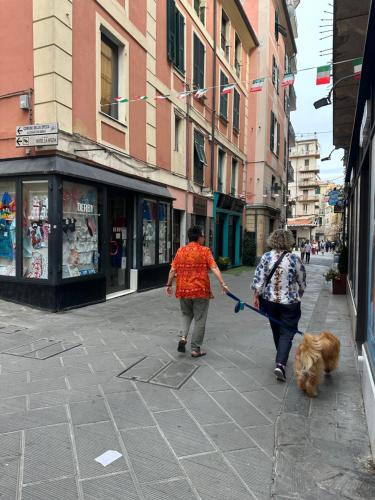 two women walking a dog on a city street at Affittacamere Via Prione in La Spezia