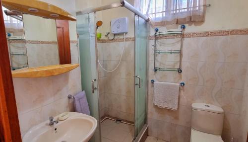 a bathroom with a shower and a sink and a toilet at Residence Le Choisy in Mont Choisy
