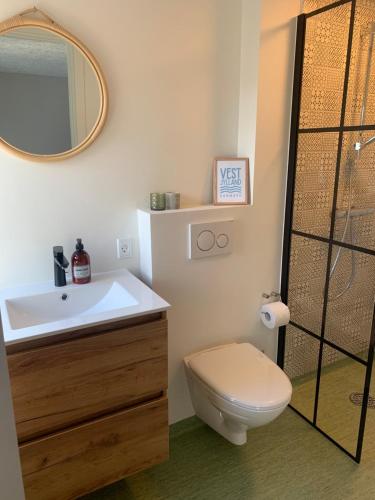 a bathroom with a toilet and a sink and a mirror at GÆSTEHUSET in Tarm