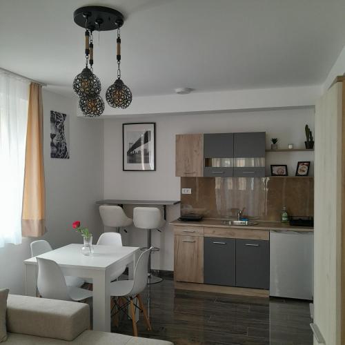 a kitchen with a table and a white table at Spa Koncept-Apartmani in Veliko Gradište
