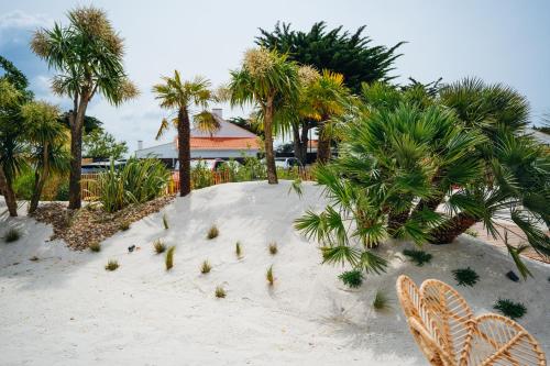 Κήπος έξω από το Hôtel Le Noirmoutier