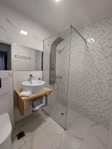 ヴァシリキにあるVilla Delfiniのバスルーム(洗面台、ガラス張りのシャワー付)