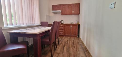 Η κουζίνα ή μικρή κουζίνα στο Chernivtsi Apartments