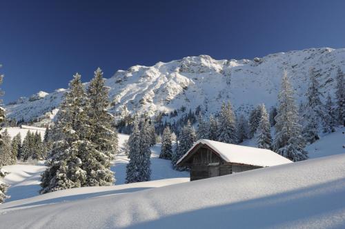 a cabin in the snow with a snow covered mountain at Hotel Garni Malerwinkl in Bad Hindelang