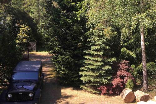 DeskurówにあるDomek Basiaの松の木前に停車するトラック