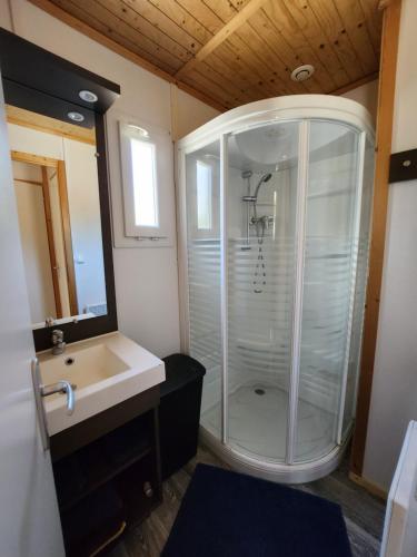 W łazience znajduje się prysznic i umywalka. w obiekcie Le clos de lignac w mieście Cieux