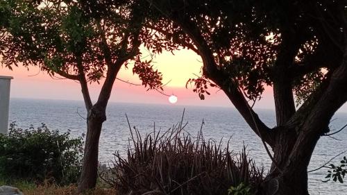two trees in front of the ocean at sunset at Seaclusion Vacation Villa in Pomos