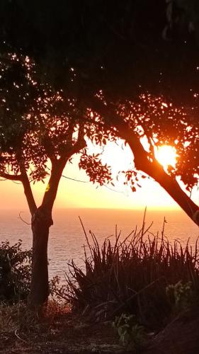 a sunset over the water with two trees at Seaclusion Vacation Villa in Pomos