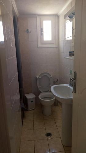 a bathroom with a toilet and a sink at Elzahed apartments bonaccia in Kimolos