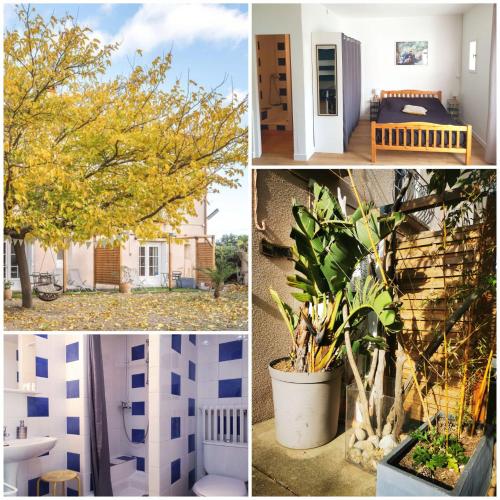 un collage de photos avec un arbre et un bâtiment dans l'établissement MAS PARET Studio plein sud - Parc 1 ha au calme, à Argelès-sur-Mer