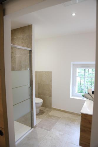 Łazienka z toaletą i szklanymi drzwiami prysznicowymi w obiekcie Duplex de charme au coeur de la Provence. w mieście Pertuis