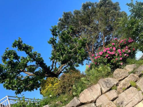 a rock wall with pink flowers on top of it at Appartement de caractère in Irigny