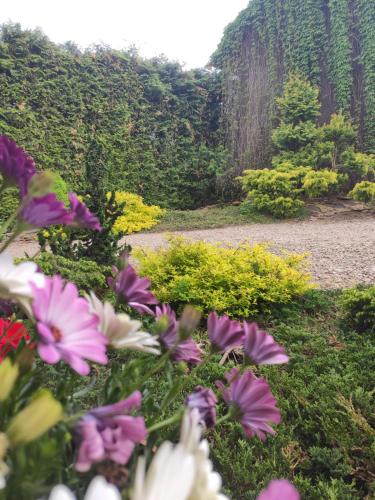 a garden with flowers in front of a waterfall at Chmielna Chatka in Majdan Łuczycki