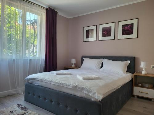 a bedroom with a large bed and a window at Pandora Central Apartment in Cluj-Napoca