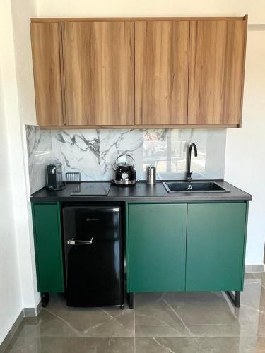 Dapur atau dapur kecil di Aigli Skala Maries Deluxe