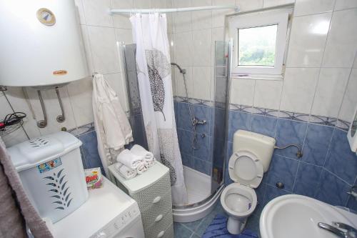 a small bathroom with a toilet and a shower at Apartment Hercegovina in Mostar