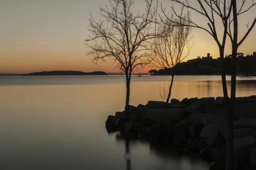 two trees on the shore of a lake at sunset at Hotel Kursaal in Passignano sul Trasimeno