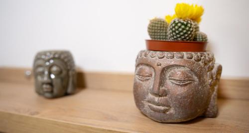 a statue of a head with a cactus in it at Hotel Luris in Golem