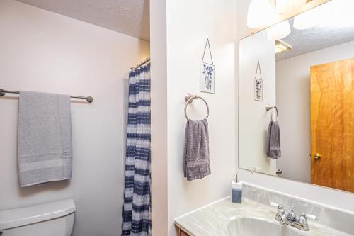 ein Badezimmer mit einem Waschbecken, einem WC und einem Spiegel in der Unterkunft Laurel Ridge in McHenry