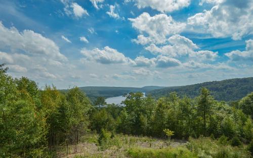 a view of a lake from a hill with trees at Highlands Heaven in McHenry