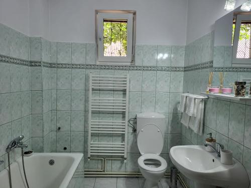uma casa de banho com um WC, um lavatório e uma banheira em Pandora Guest House em Cluj-Napoca