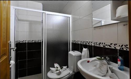 y baño con aseo, lavabo y ducha. en ALİ ÜNAL APART OTEL, en Alanya