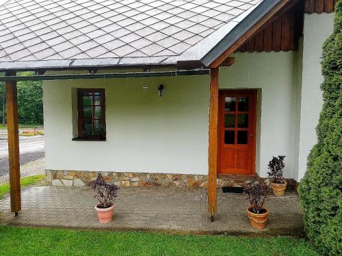 a house with potted plants in front of it at Apartmány 670 pod Lysou horou in Rokytnice nad Jizerou