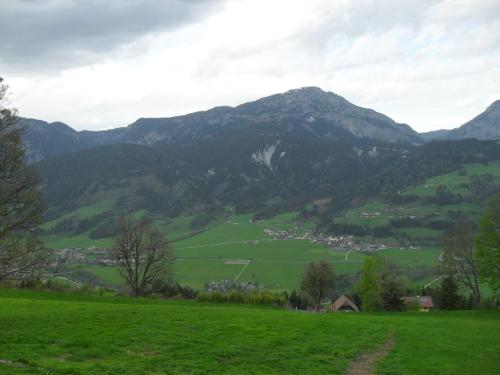 a green field with mountains in the background at Rainzhof in Aich