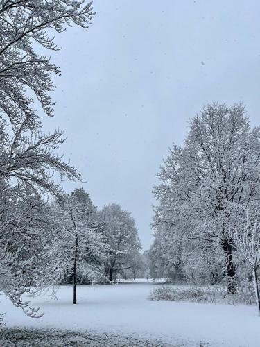 a field covered in snow with trees in the background at B&B Domein Rodin in Oud-Turnhout