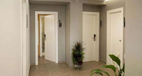 a hallway with white doors and a potted plant at Hotel Luris in Golem