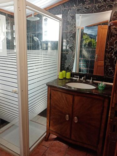 a bathroom with a sink and a mirror at Fleur de vanille in Le Tampon