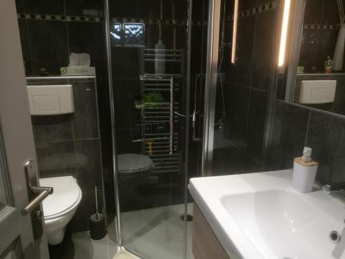 W łazience znajduje się prysznic, toaleta i umywalka. w obiekcie appartement avec jardin vue sur mer 2 étoiles w Cassis
