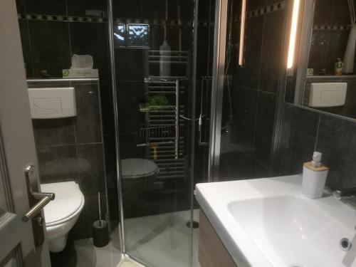 une salle de bain avec une douche, des toilettes et un lavabo dans l'établissement appartement avec jardin vue sur mer 2 étoiles, à Cassis